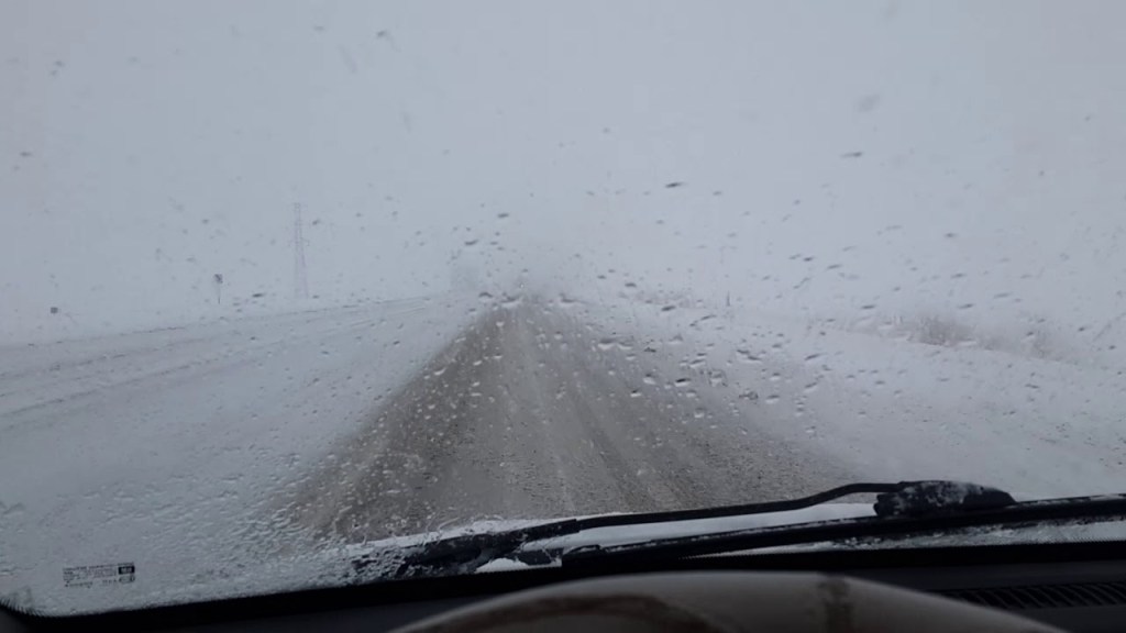 YENİDEN DOĞMAYI ÖĞRENMEK