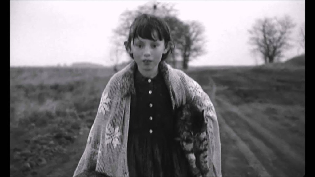 MORİTZ, TARR VE&nbsp;TİPİ