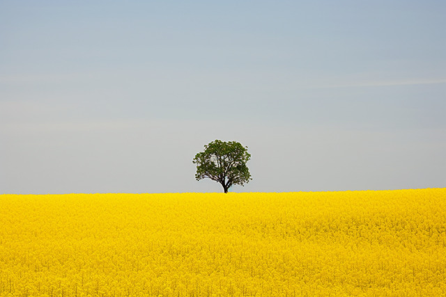BEN BU GÜN SENİ&nbsp;DÜŞÜNDÜM